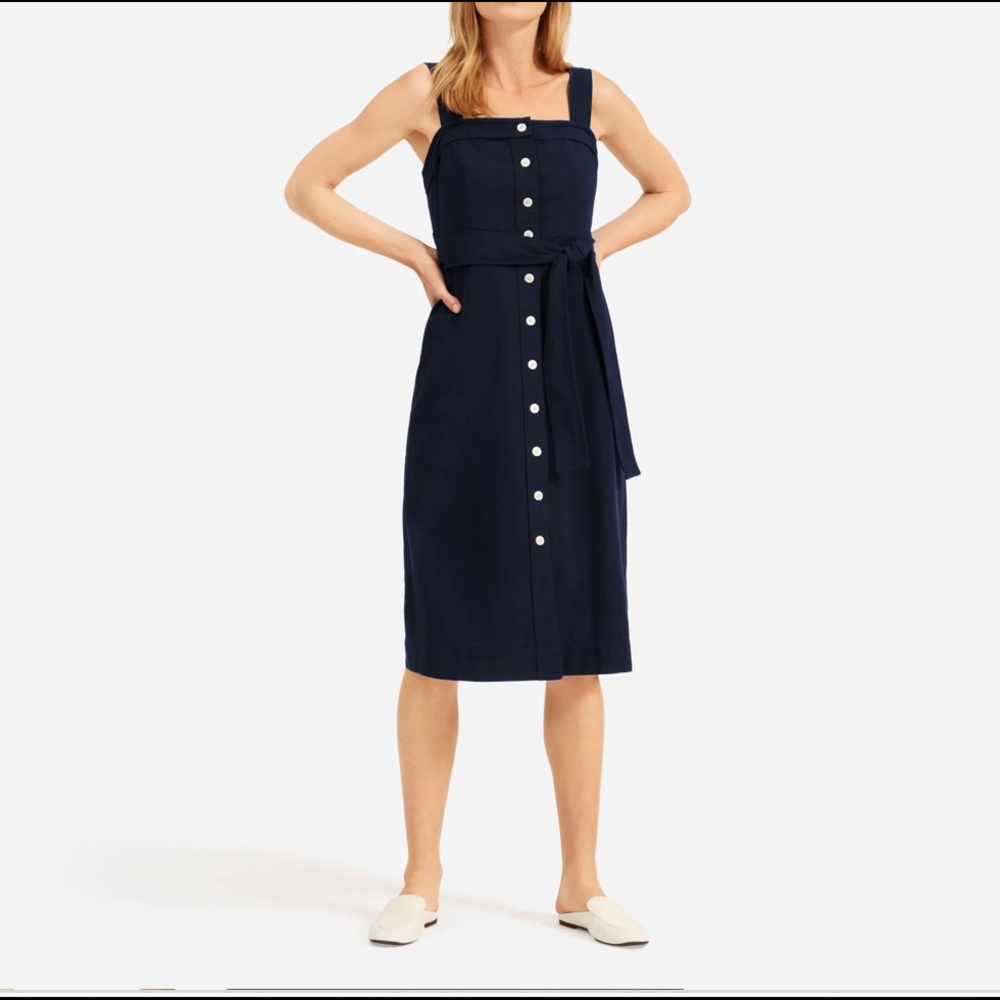 Everlane Navy Cotton Picnic Dress size 2